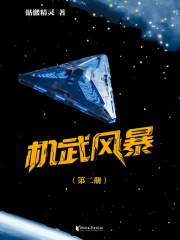 机武风暴（第二册）