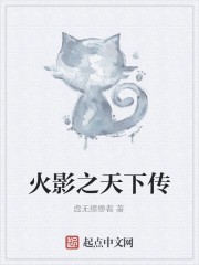 火影之天下传