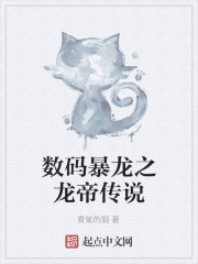 数码暴龙之龙帝传说